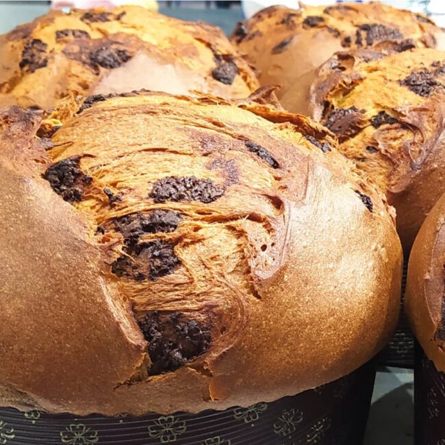Panettone
