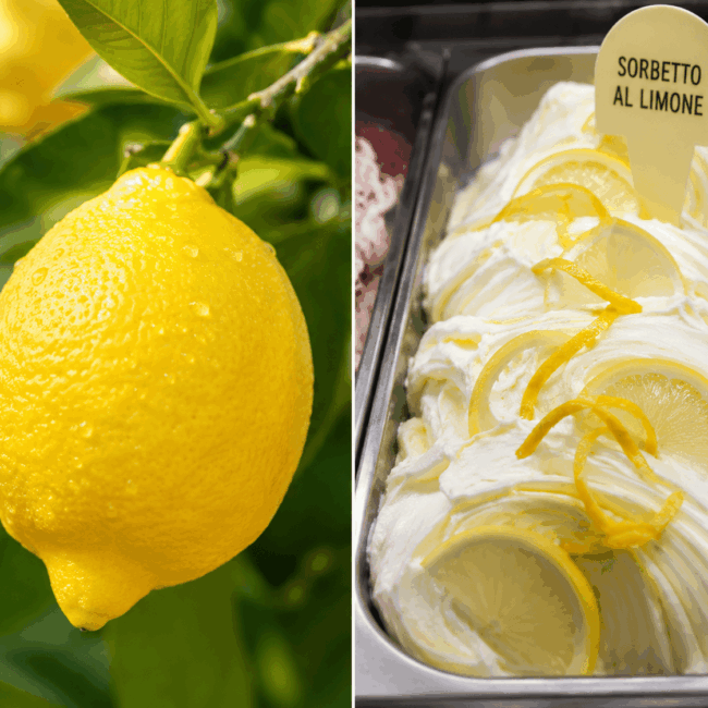 Sorbetto al limone